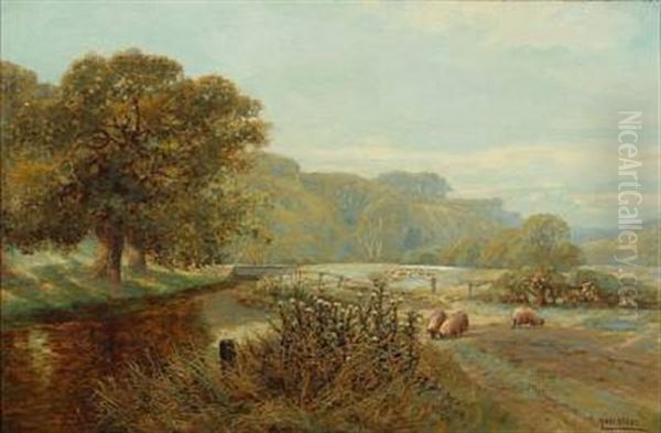 Grazing Sheep - view 1