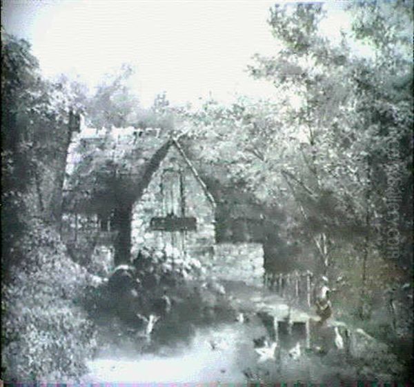 The Duck Pond - view 1