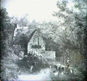 The Duck Pond