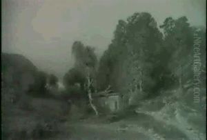 A Cabin In A Clearing