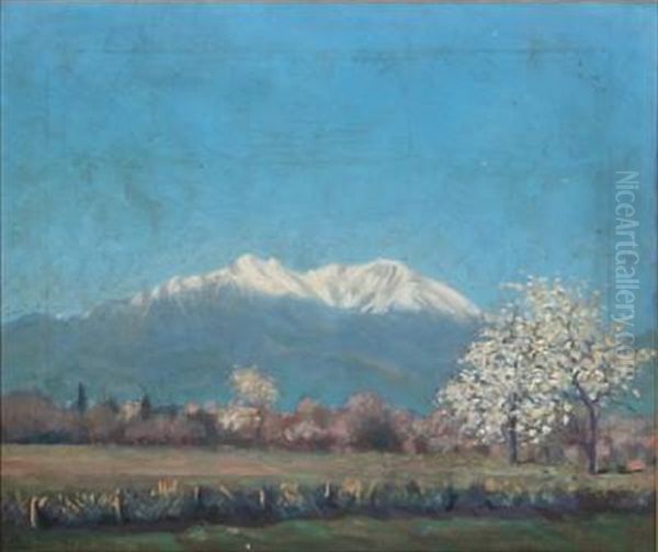 Bjaerget Canigou I Pyrenaeerne - view 1