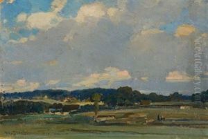 Weite Sommerlandschaft
