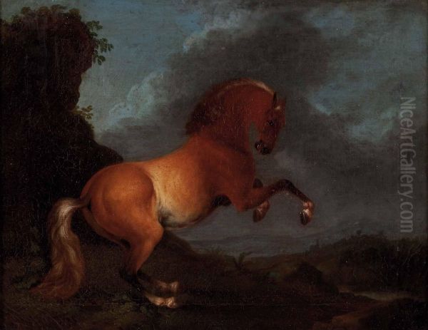 Steigendes Pferd In Landschaft - view 1