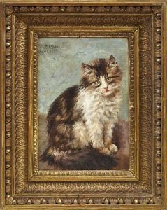 Junge Katze by Minna Stocks