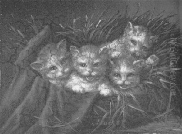 Ein Quartett - Junge Katzen In Einem Korbchen - view 1