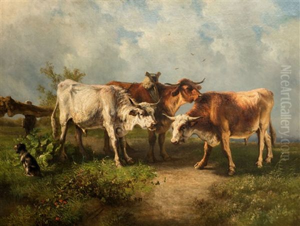 Cows - view 1
