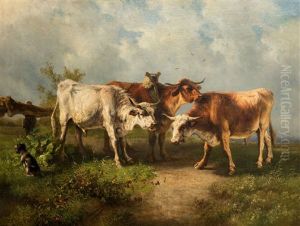 Cows Cows