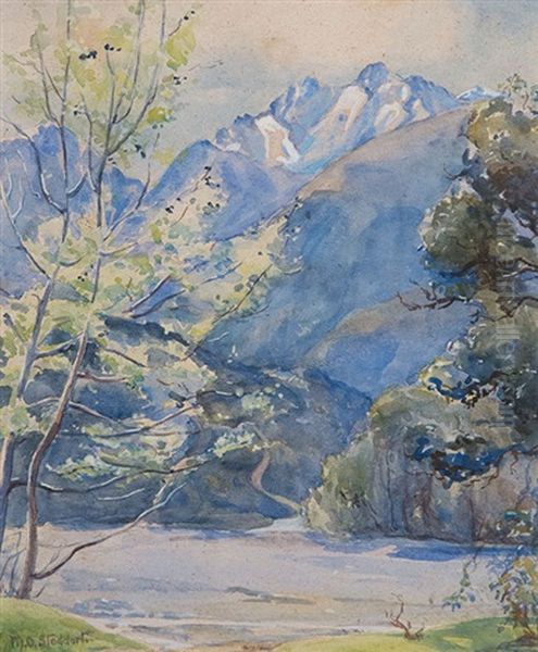 South Island Landscape - view 1