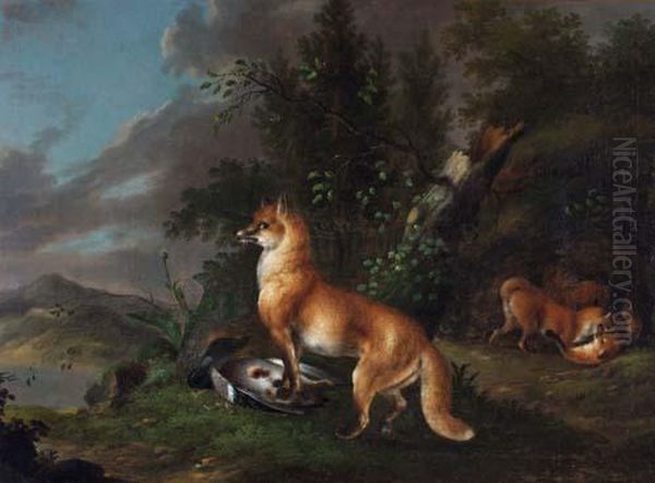 Fuchsin Mit Wildente Vor Ihrem Bau, Im Hintergrund Drei Sich Balgende Junge - view 1