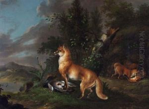 Fuchsin Mit Wildente Vor Ihrem Bau, Im Hintergrund Drei Sich Balgende Junge