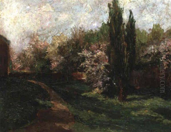 Gartenweg Mit Bluhenden Buschen - view 1