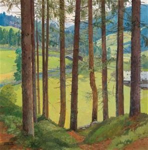 Blick Durch Baume