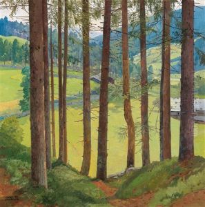 View Of A Hilly Wooded Landscape Through Trees