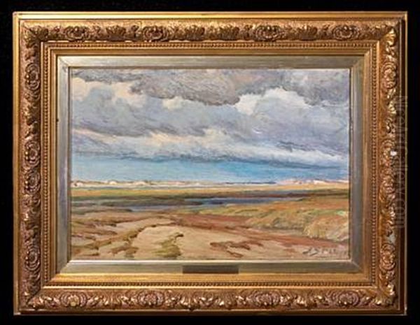 Landscape At Skagen - view 1