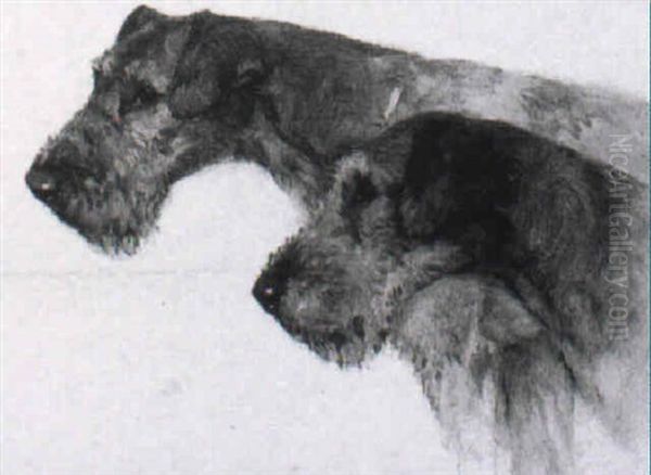 Airedale Terriers - view 1