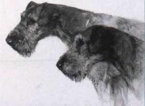 Airedale Terriers Airedale Terriers