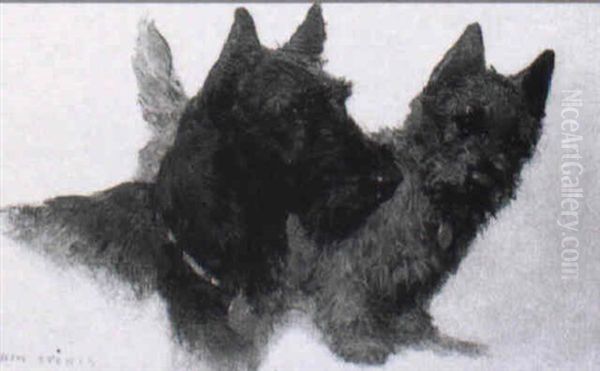 Scottish Terriers - view 1