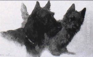 Scottish Terriers