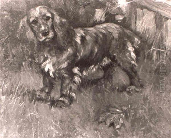 The Spaniel `golden Sparklet' - view 1