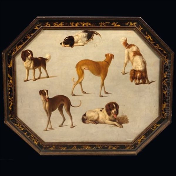 Epagneuls Et Autres Chiens - view 1