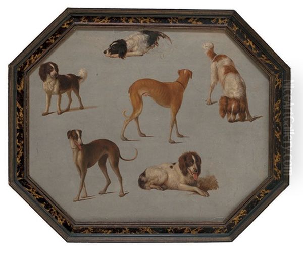Epagneuls Et Autres Chiens - view 1