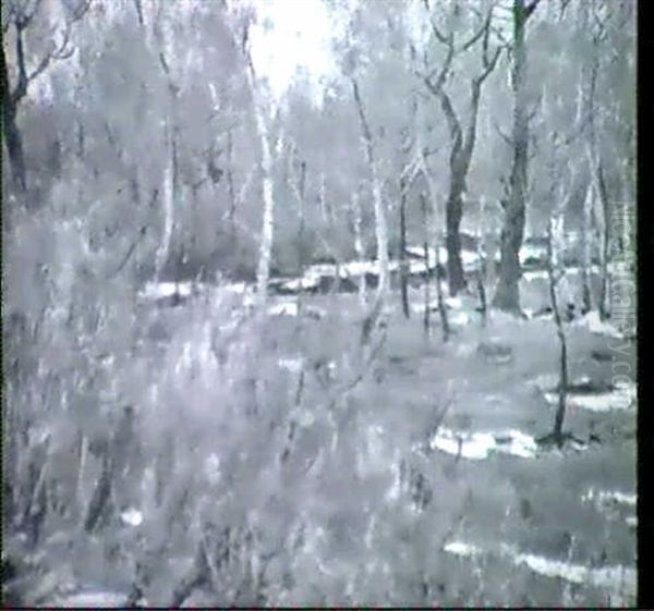 Waldstuck - view 1