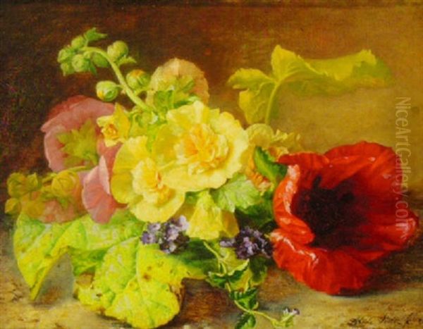 Poppies, Hollyhock And Primrose In Nature - view 1