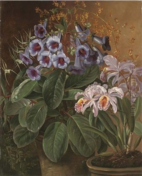 Orchids In A Terracotta Pot - view 1
