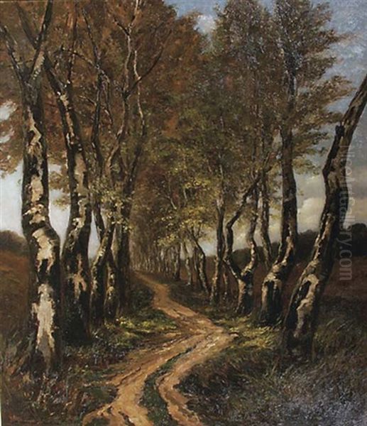Birch Trees Along A Lane - view 1