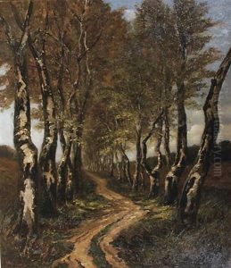 Birch Trees Along A Lane