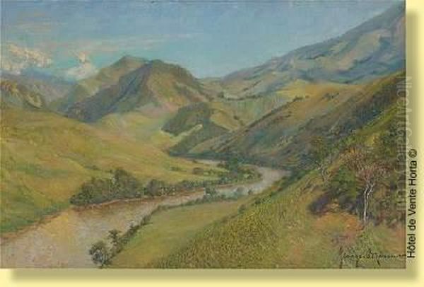 Paysage Fluvial Ensoleille - view 1