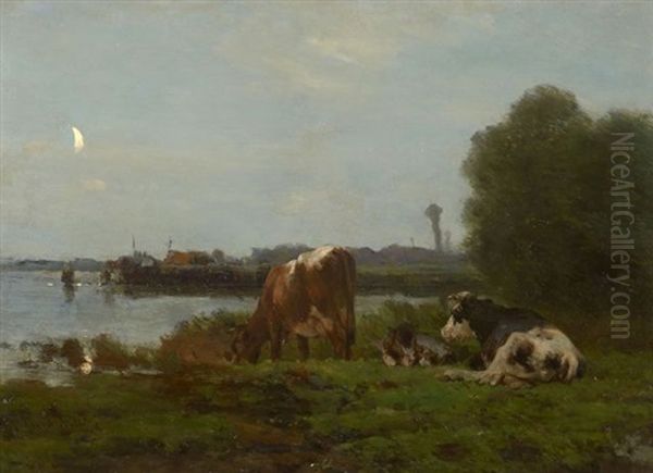 Vaches Dans Un Pre Au Clair De Lune - view 1