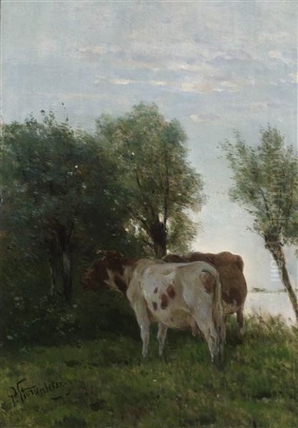 Cows In A Pasture - view 1