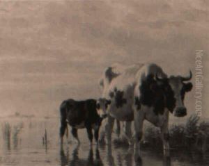 A Cow And Calf A Cow And Calf