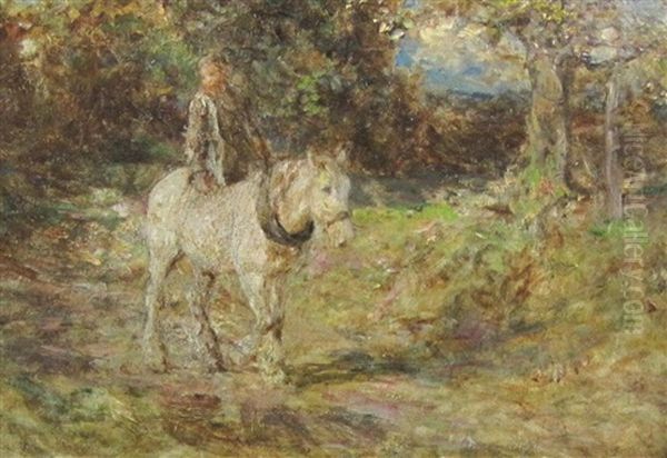 A Boy Riding A Pony On A Forest Track - view 1