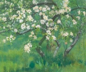 Apple Tree In Blossom by William Stott Of Oldham