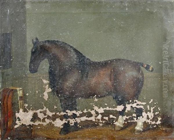 A Pair Of Heavy Horse Studies (2) - view 1