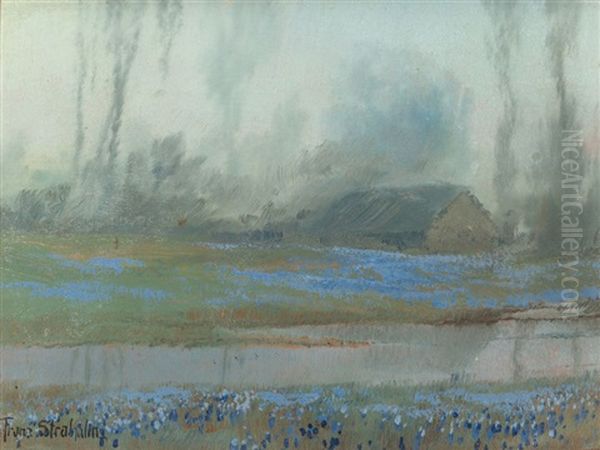 Bluebonnets At Dusk - view 1
