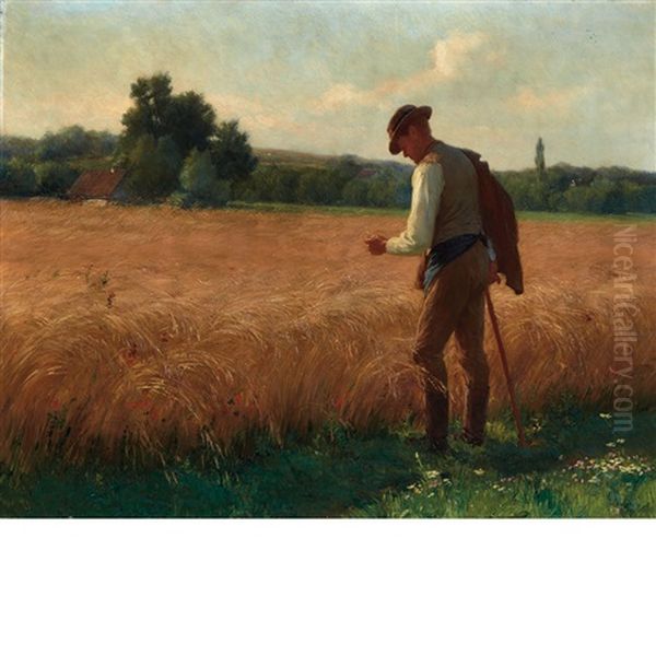 After The Harvest - view 1