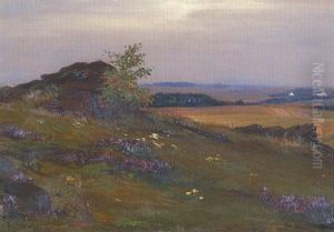 Weite Landschaft Mit Felsblocken