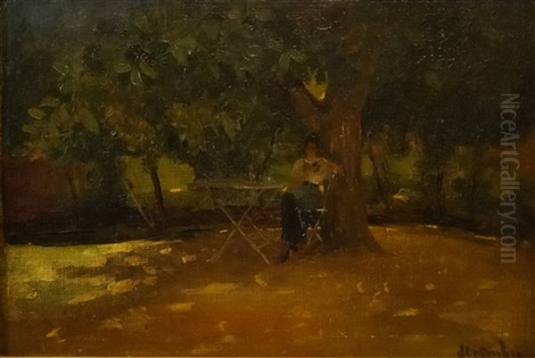 In The Garden Of The House - view 1