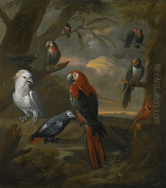 Parrots In An Extensive Woodland Landscape - view 1