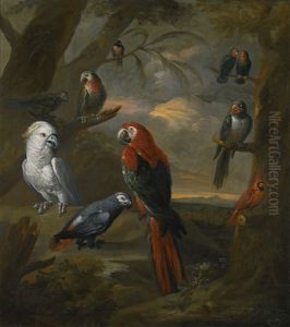Parrots In An Extensive Woodland Landscape by Tobias Stranovius