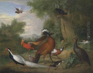 A Great Curassow, Golden Pheasant, Silver Pheasant, Oystercatcher And Other Birds In A Wooded Landscape by Tobias Stranovius