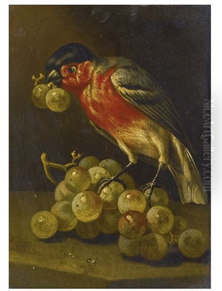 A Bullfinch With Grapes - view 1