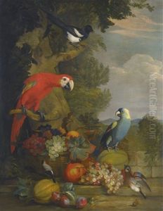 Macaws, A Black-billed Magpie And A Robin With A Fruit Still-life by Tobias Stranovius