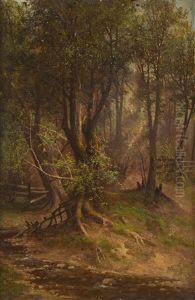 Forest Interior With Dry Wash by Meyer Straus