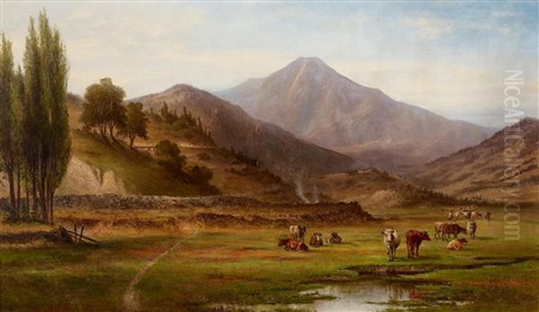 Grazing Cattle - view 1