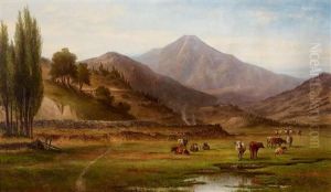 Grazing Cattle by Meyer Straus