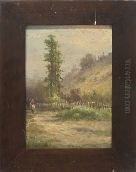 Cowboy On A Country Road - view 1
